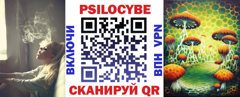 Псилоцибиновые грибы Psilocybine cubensis  мориарти как зайти  Севастополь 